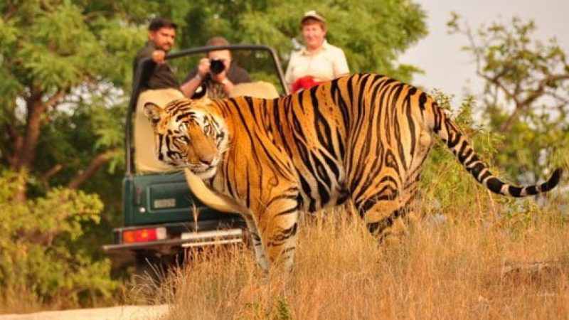 2 Nights 3 Days Manas National Park Tour_1