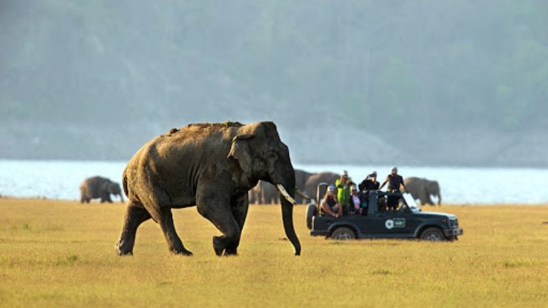 2 Nights 3 Days Manas National Park Tour_4