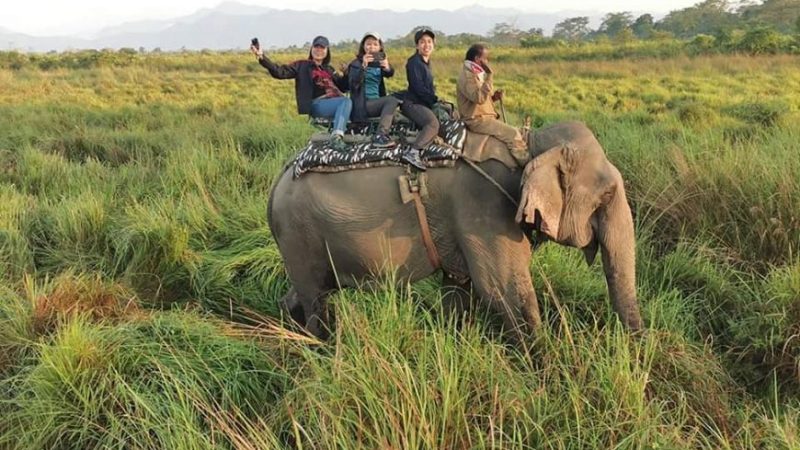 4 Nights 5 Days Kaziranga Majuli Island Tour_3